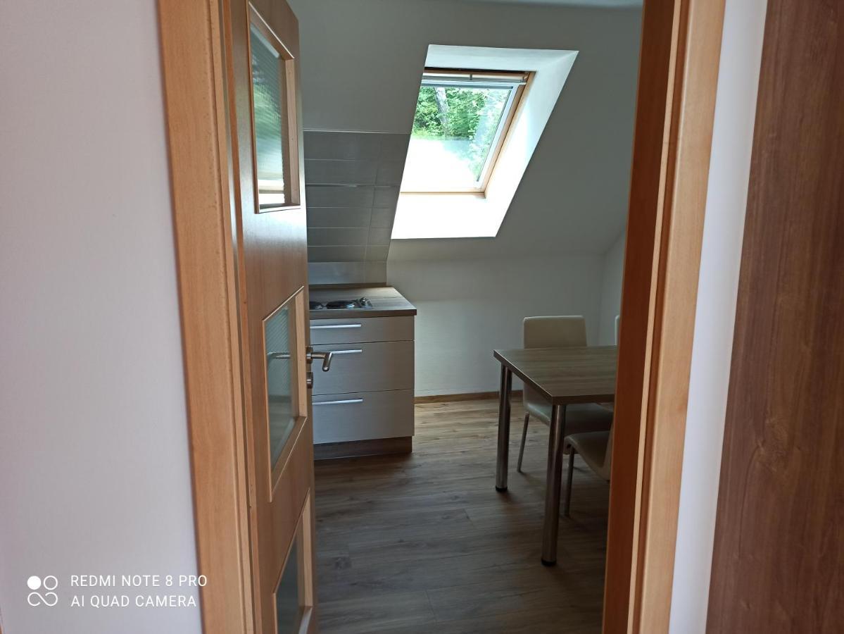 Apartma Na Lipne Appartement Horní Planá Buitenkant foto