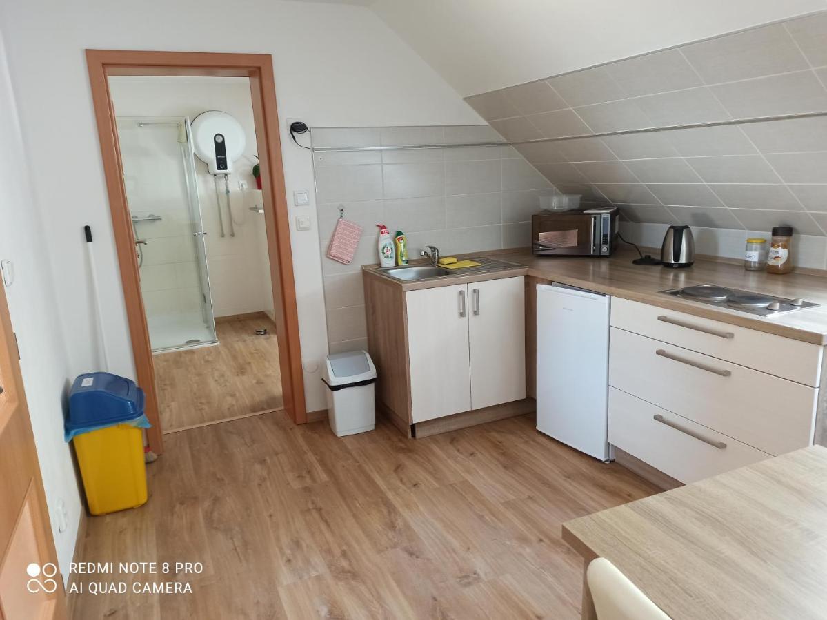 Apartma Na Lipne Appartement Horní Planá Buitenkant foto